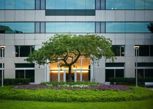 Commercial Landscape in Dubai​